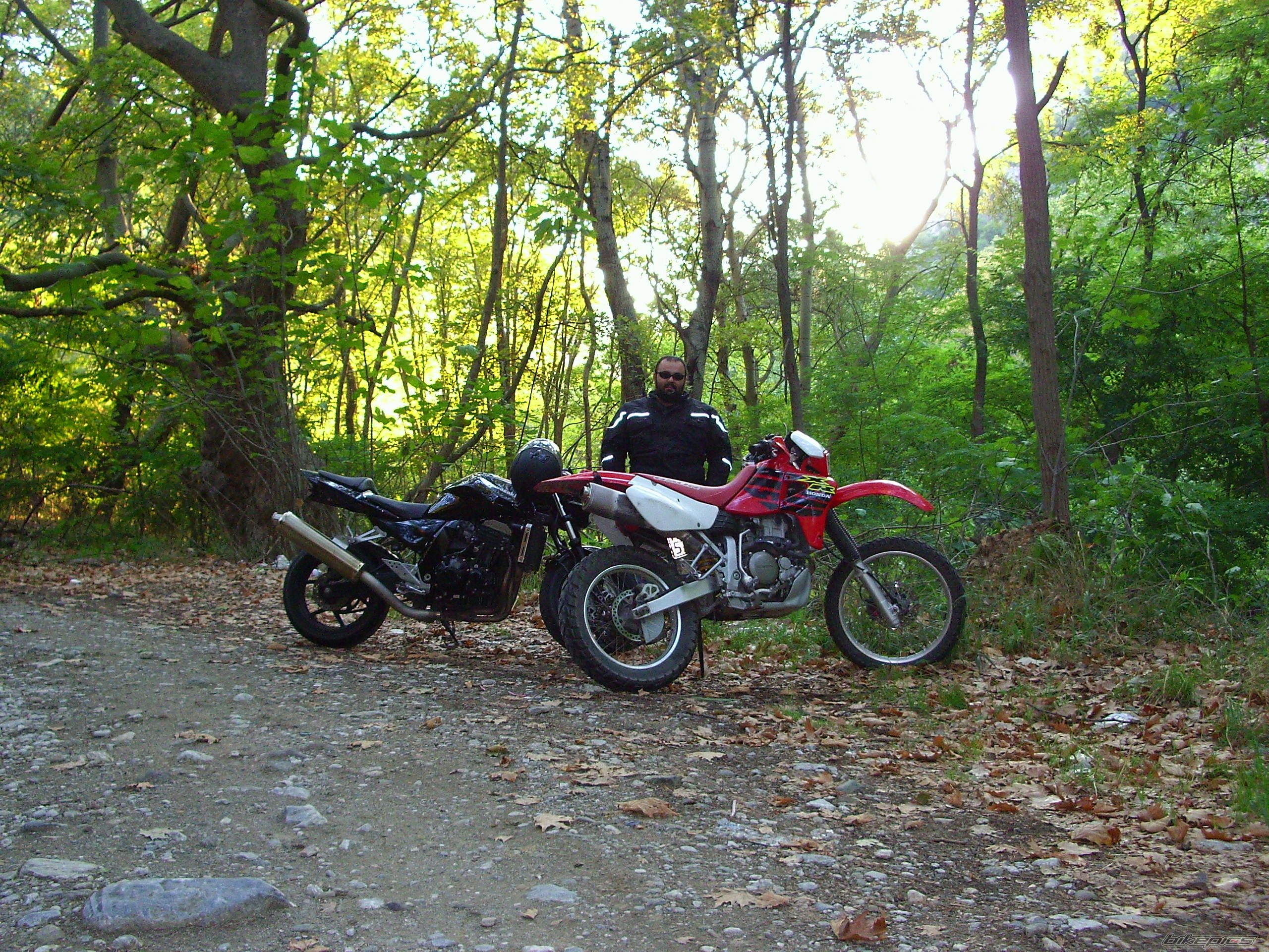 Bike Photo 1033450