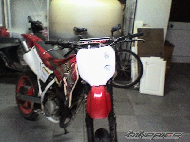 Photo 1033451