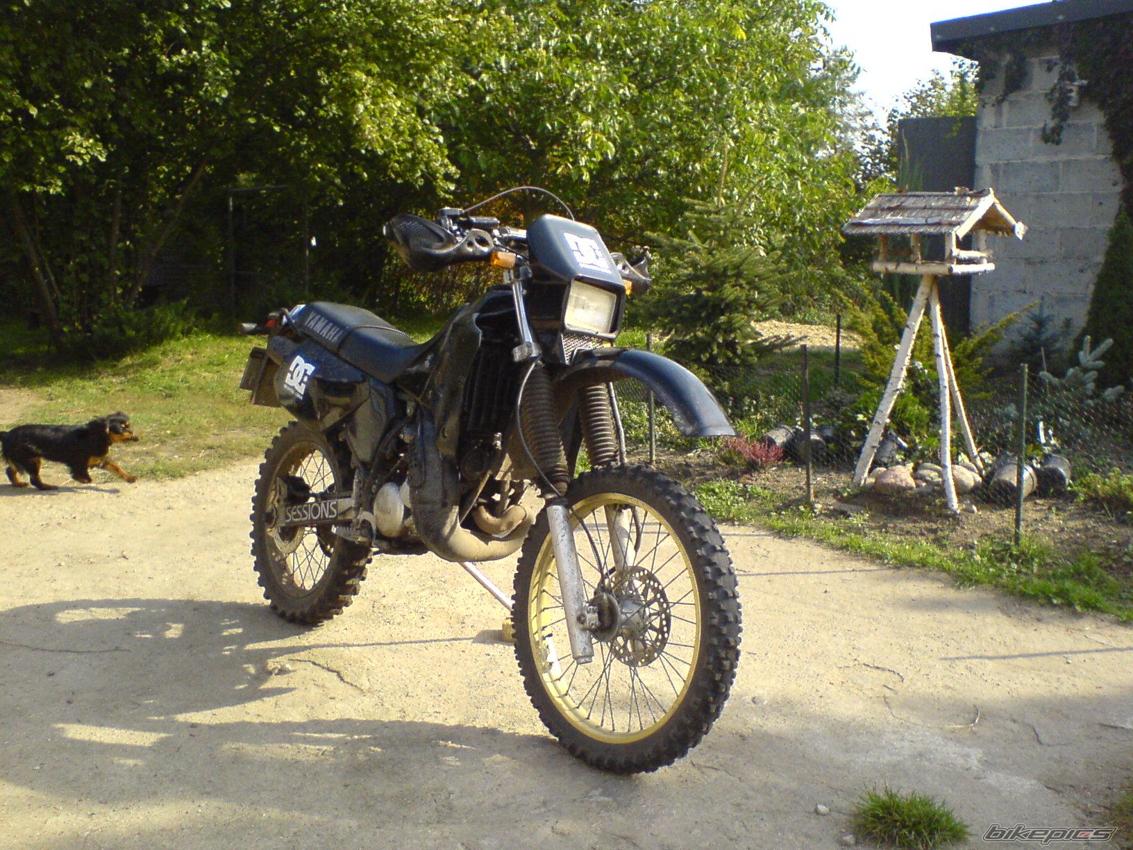 Photo 1033513
