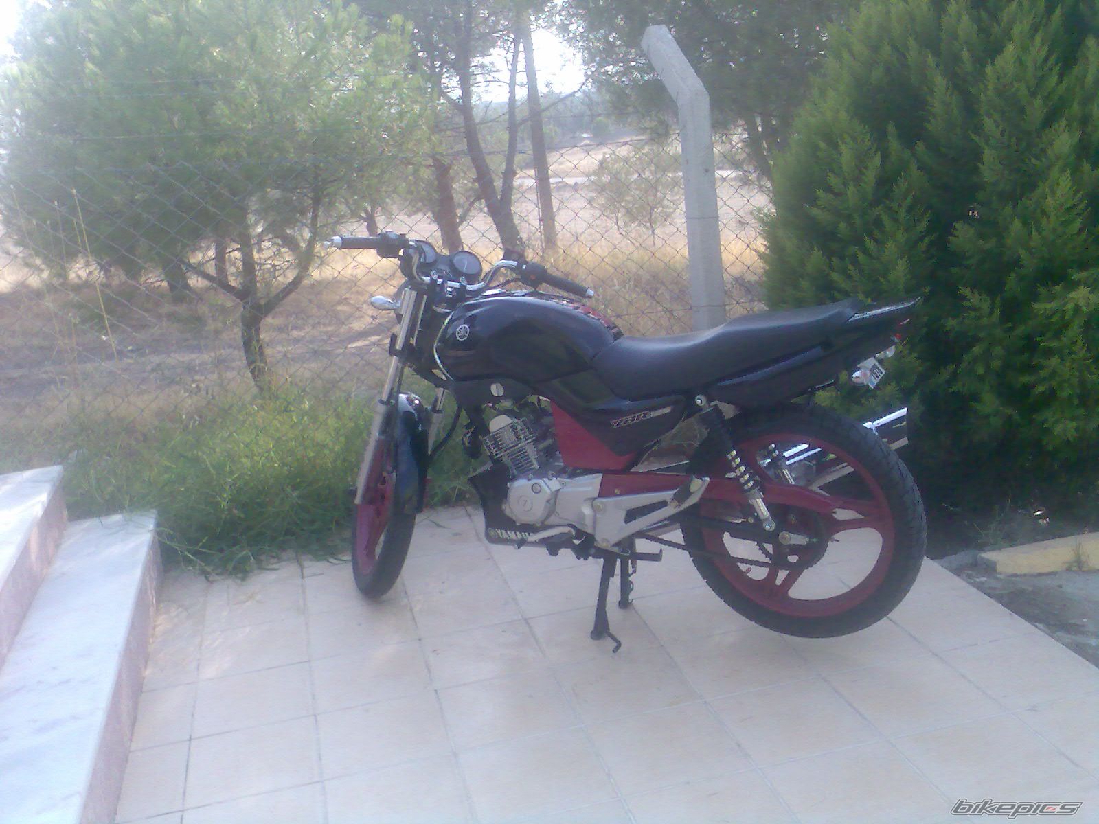 Photo 1033823