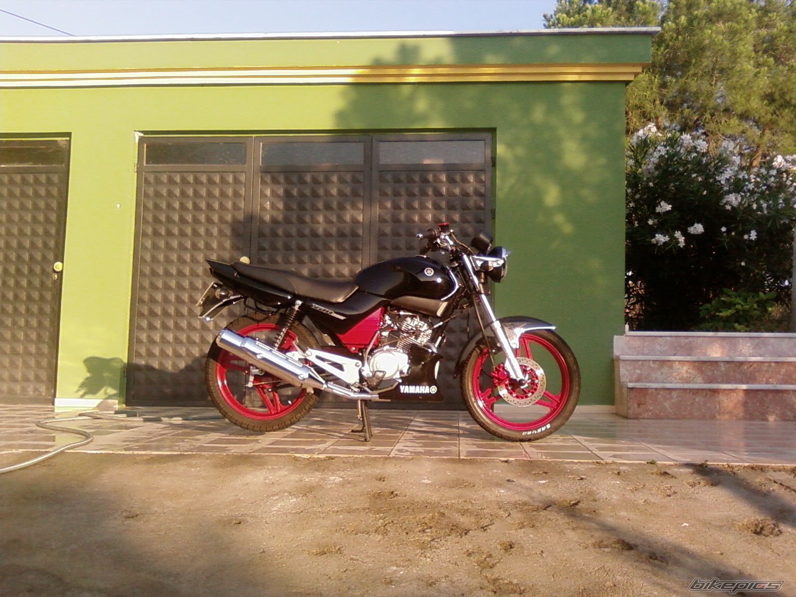 Photo 1033835