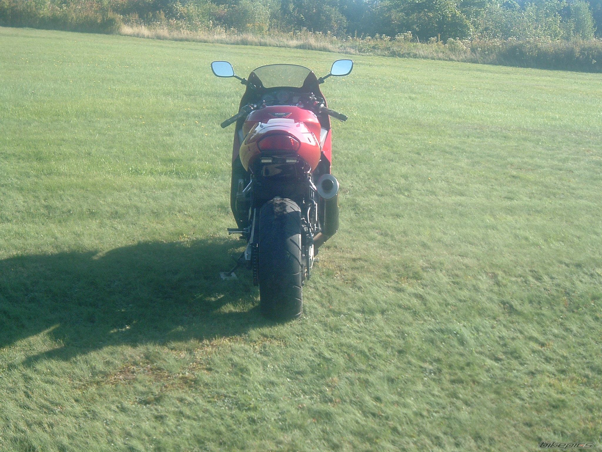 Photo 1033916