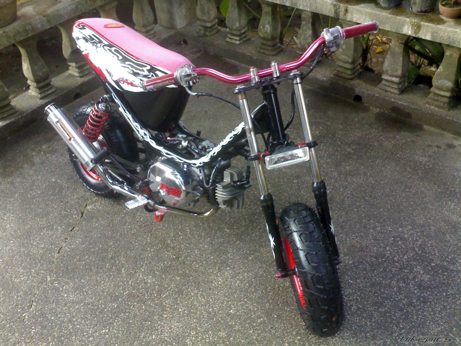 Photo 1033946