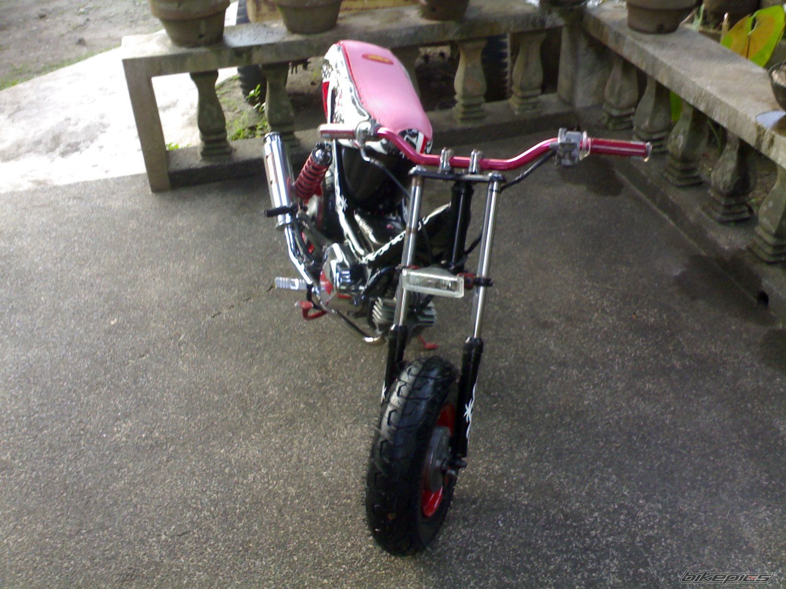 Photo 1033954