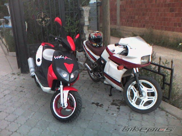 Photo 1034183