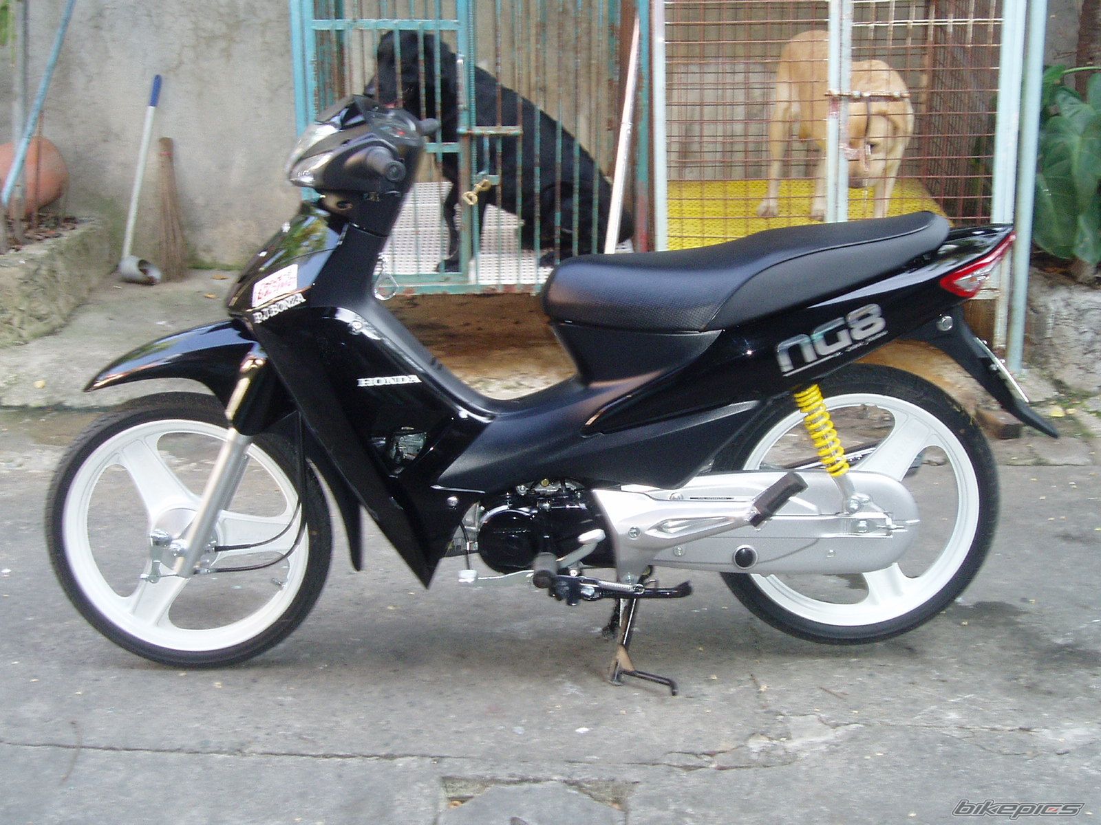 Photo 1034264