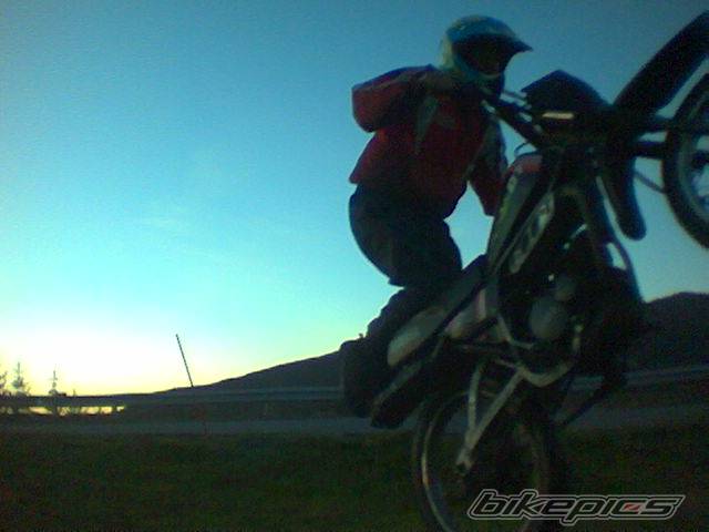 Photo 103447