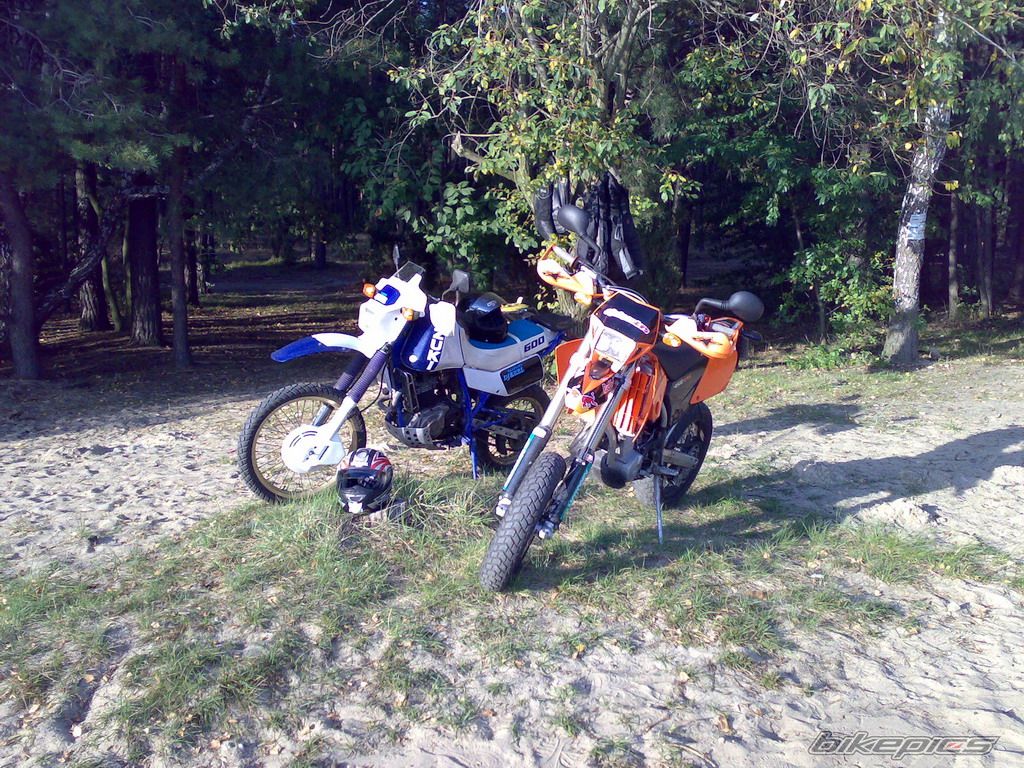 Photo 1034627