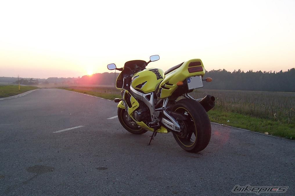 Photo 1034646