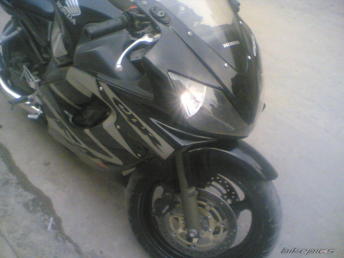 Photo 1034670