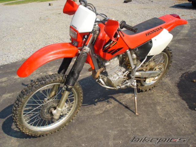 Photo 1034837