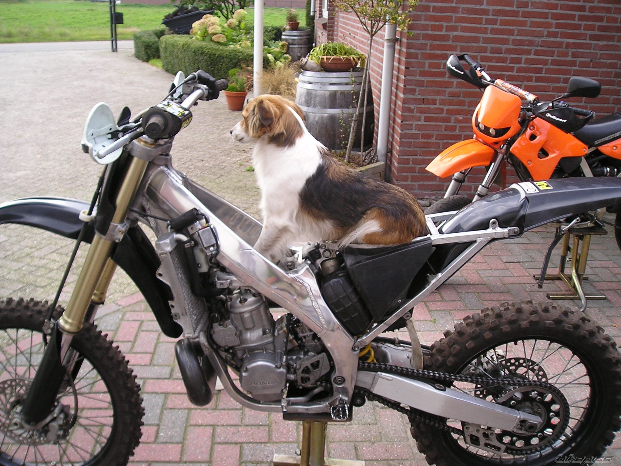 Bike Photo 1034857