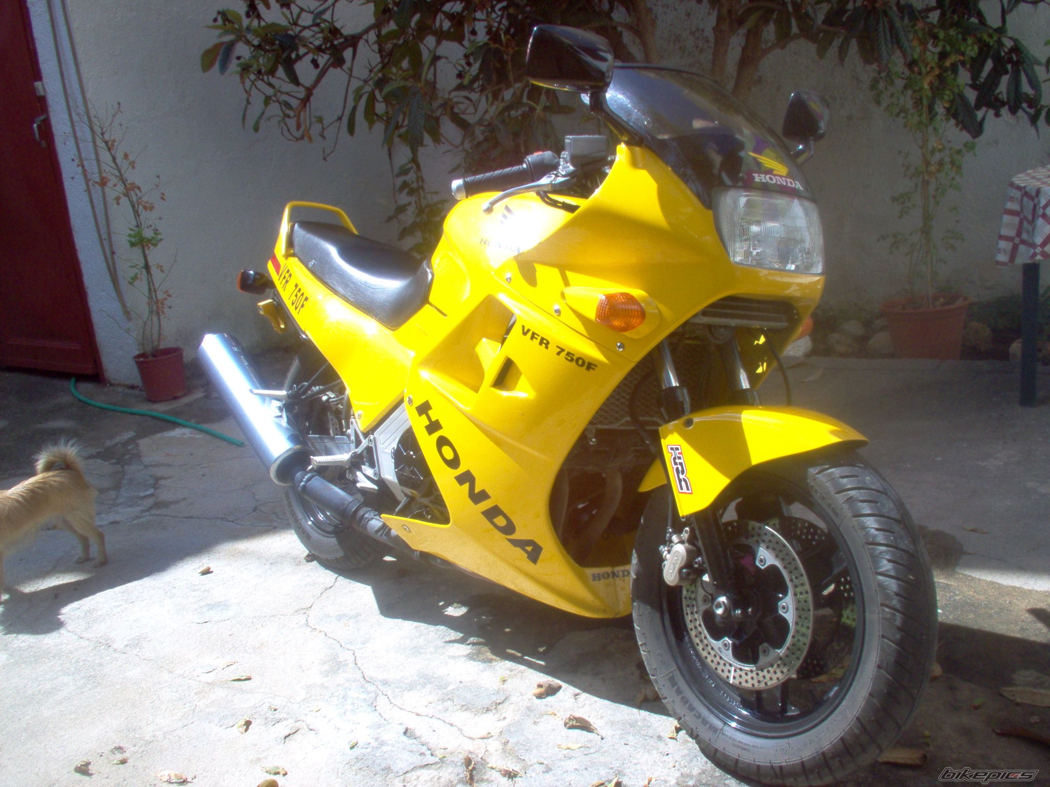 Bike Photo 1034919