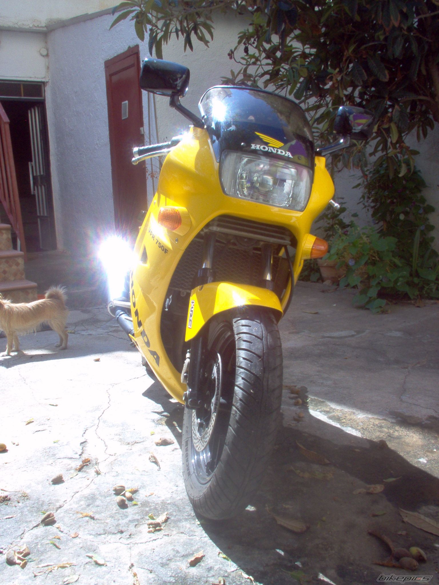 Bike Photo 1034929