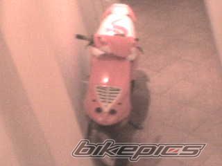 Photo 1035039
