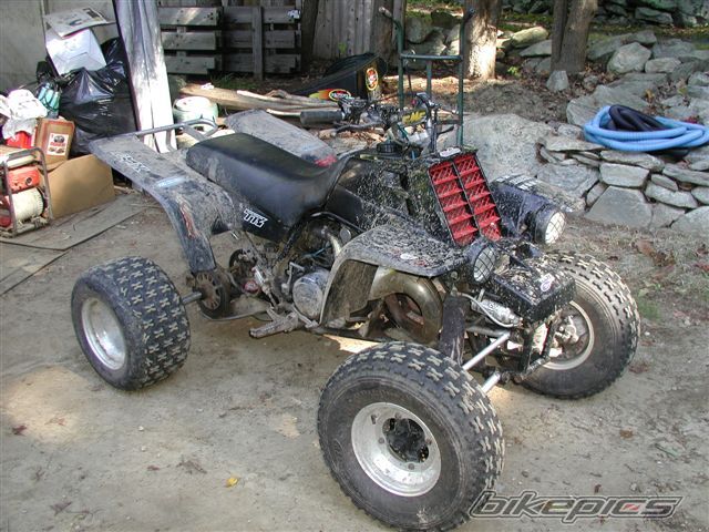 Photo 1035099