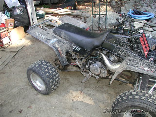 Photo 1035118