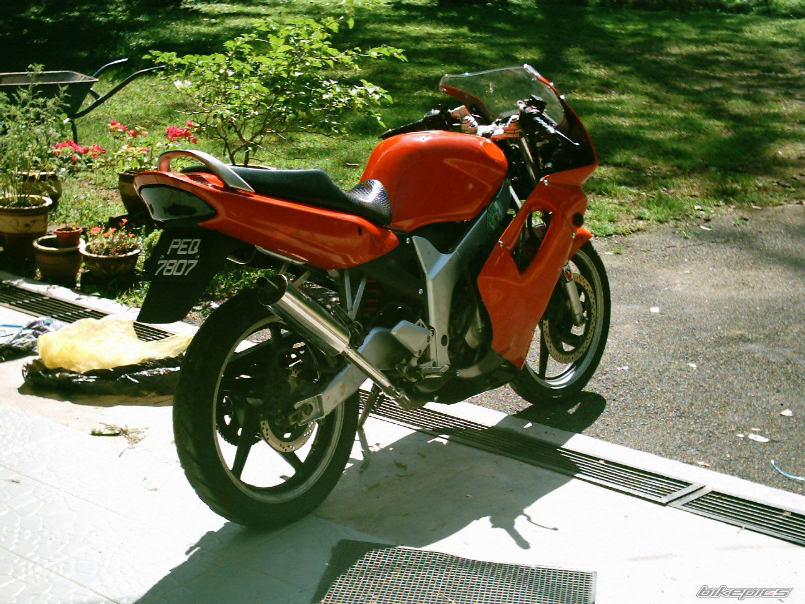 Photo 103526