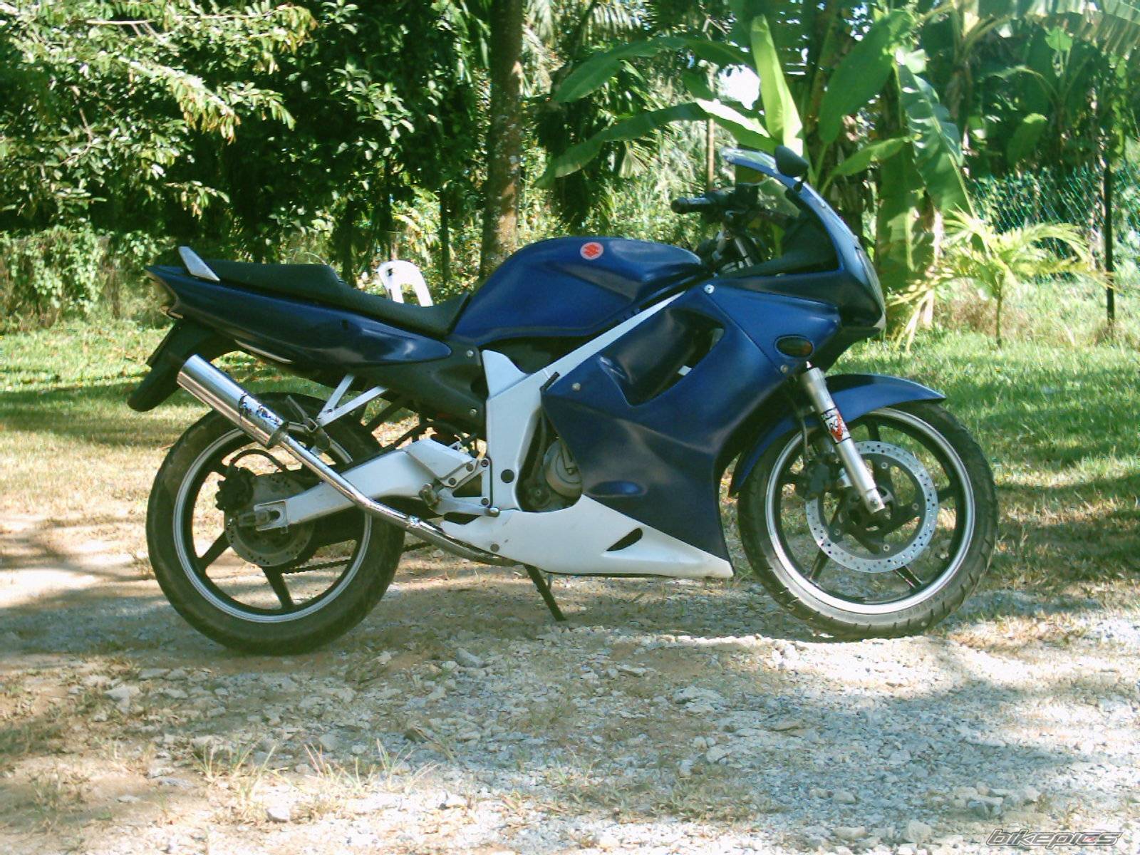 Photo 103527
