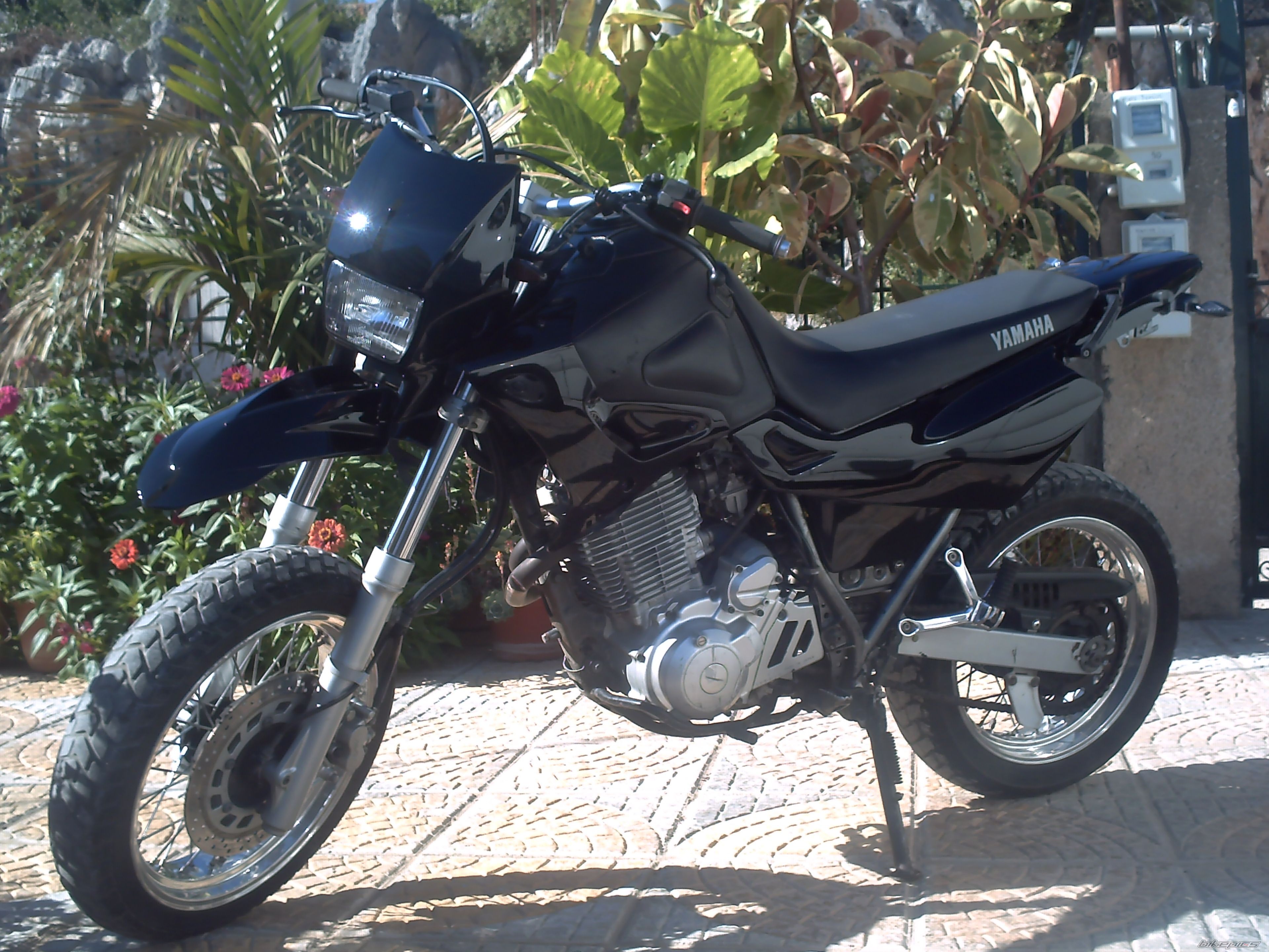 Photo 1035305