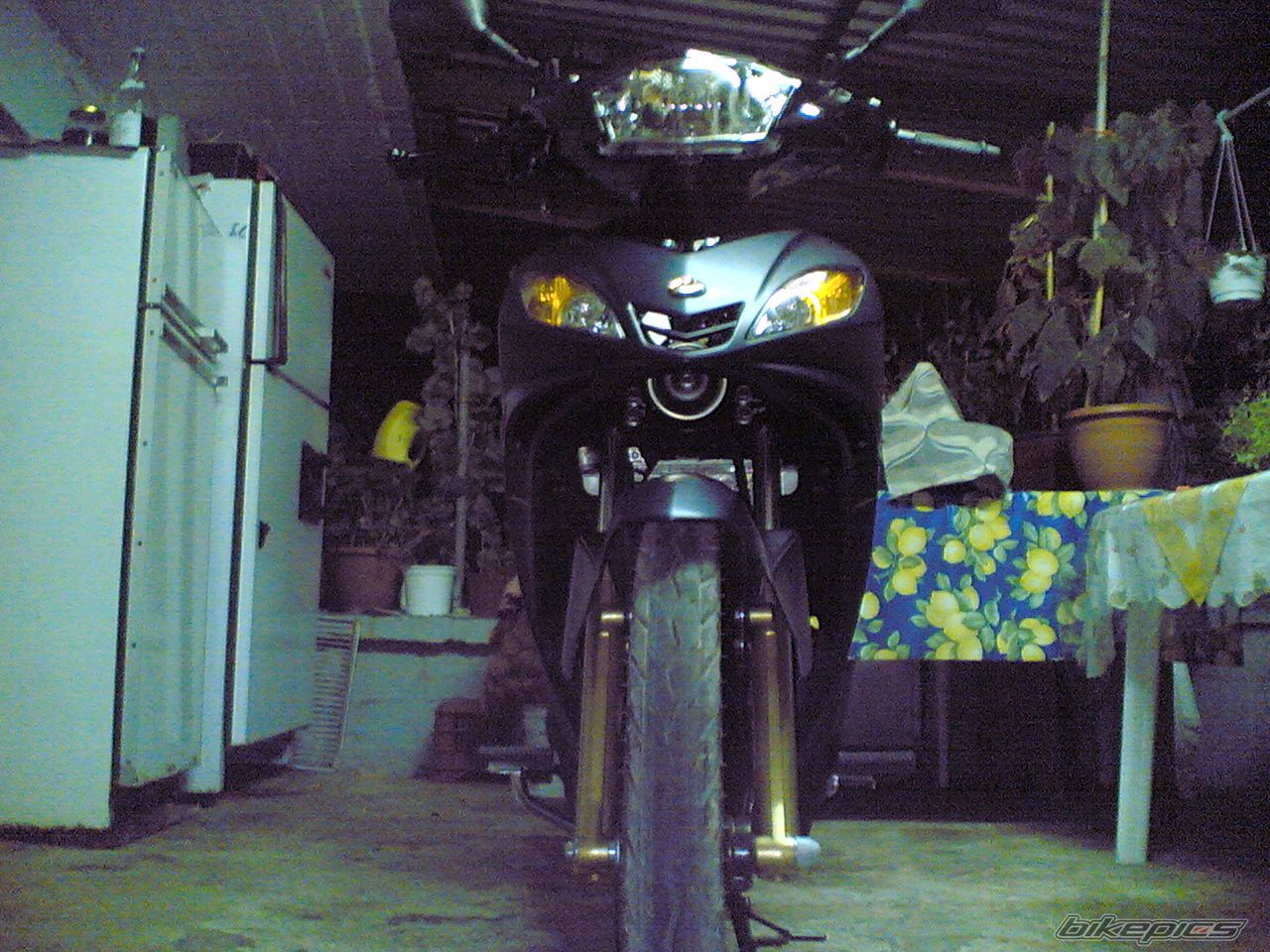 Photo 1035516