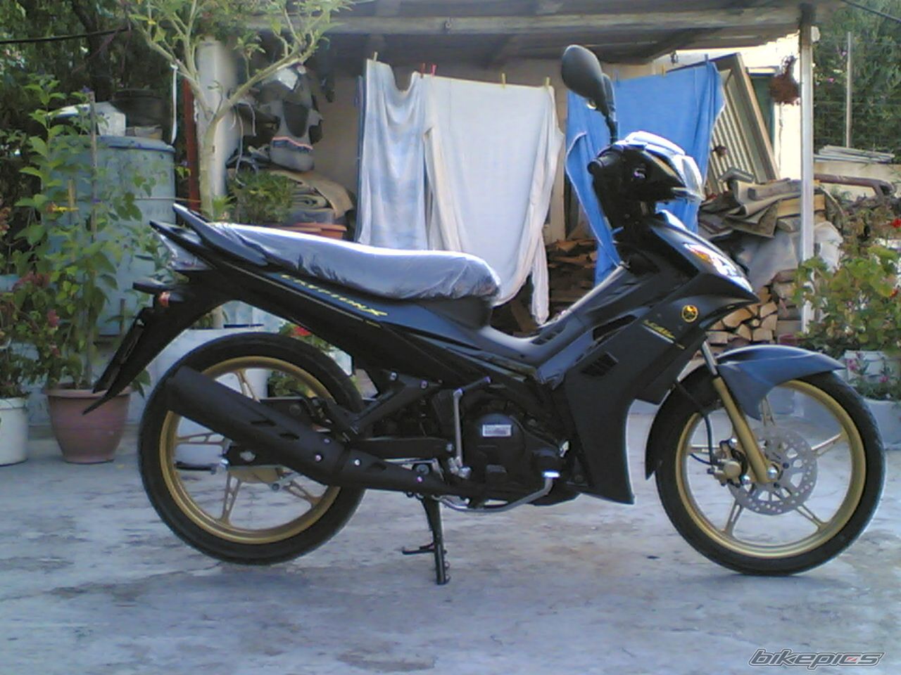 Photo 1035521
