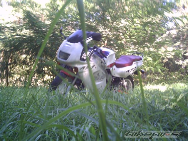 Photo 1035553