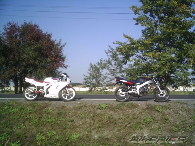 Photo 1035569