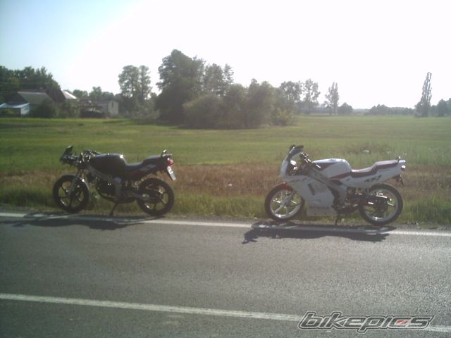 Photo 1035570