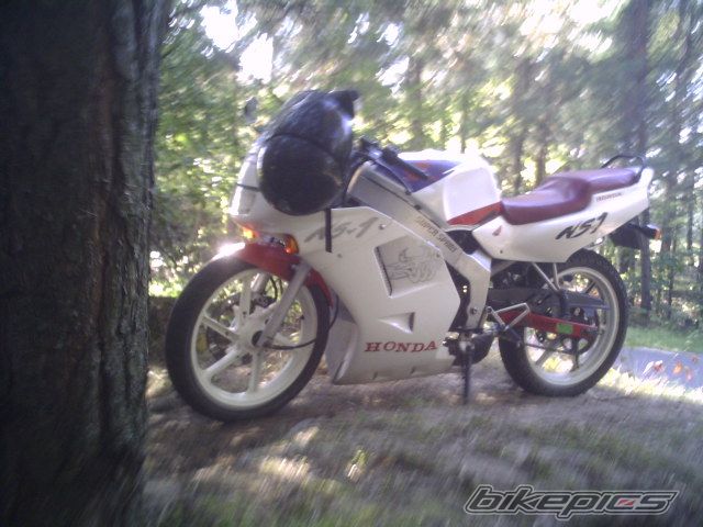 Photo 1035576