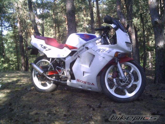 Photo 1035579