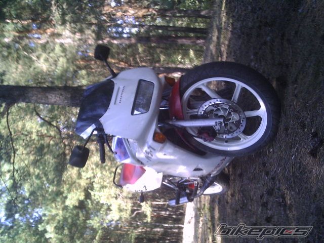 Photo 1035581
