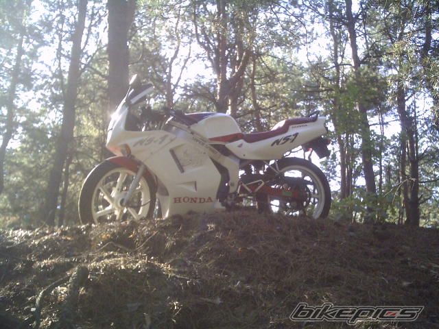 Photo 1035582