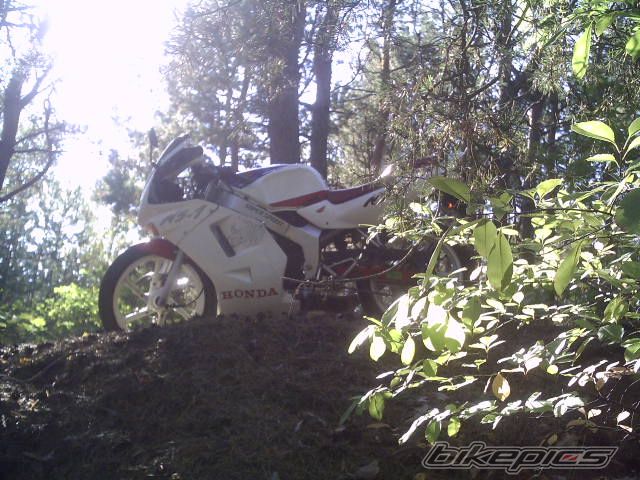 Photo 1035583