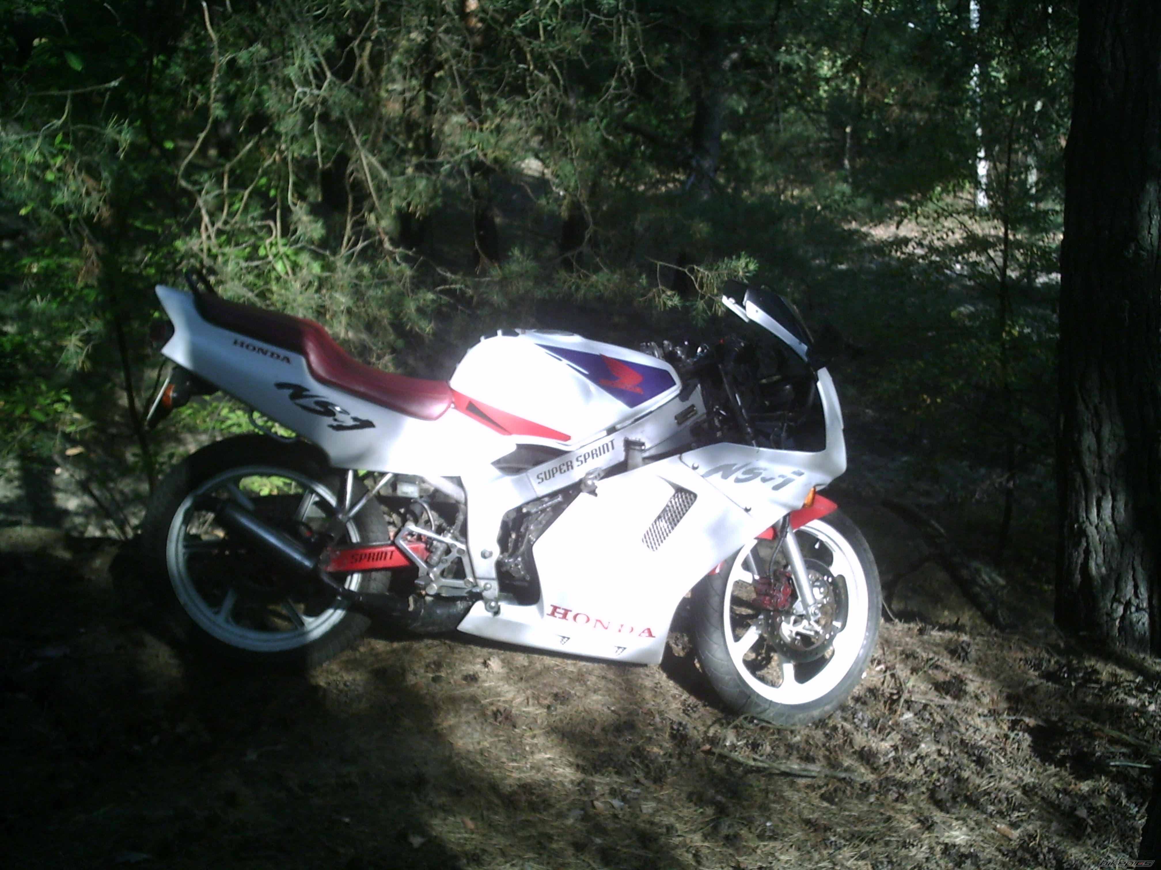 Photo 1035584