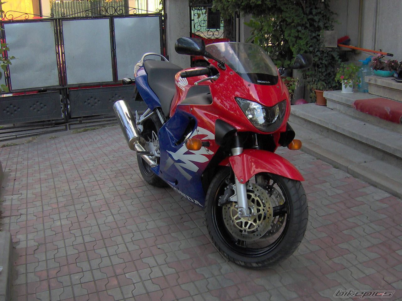 Photo 1035650
