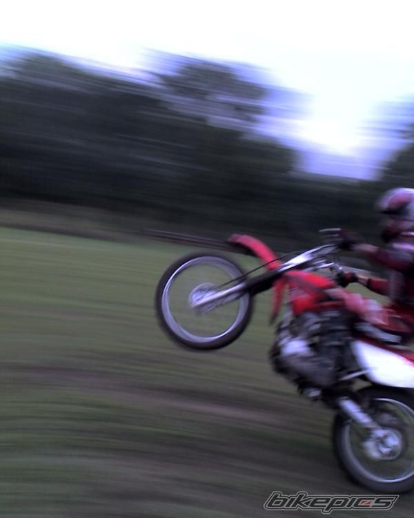 Photo 1035699