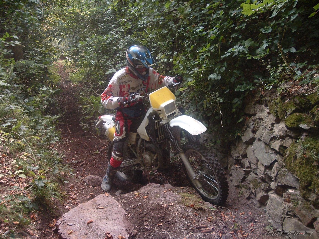 Photo 1035768