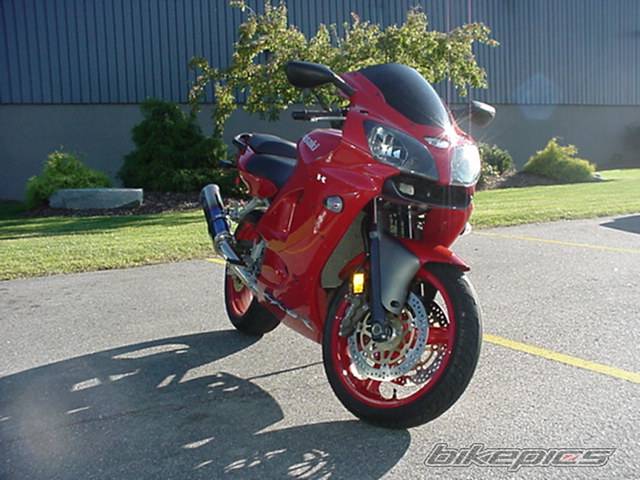 Photo 10358