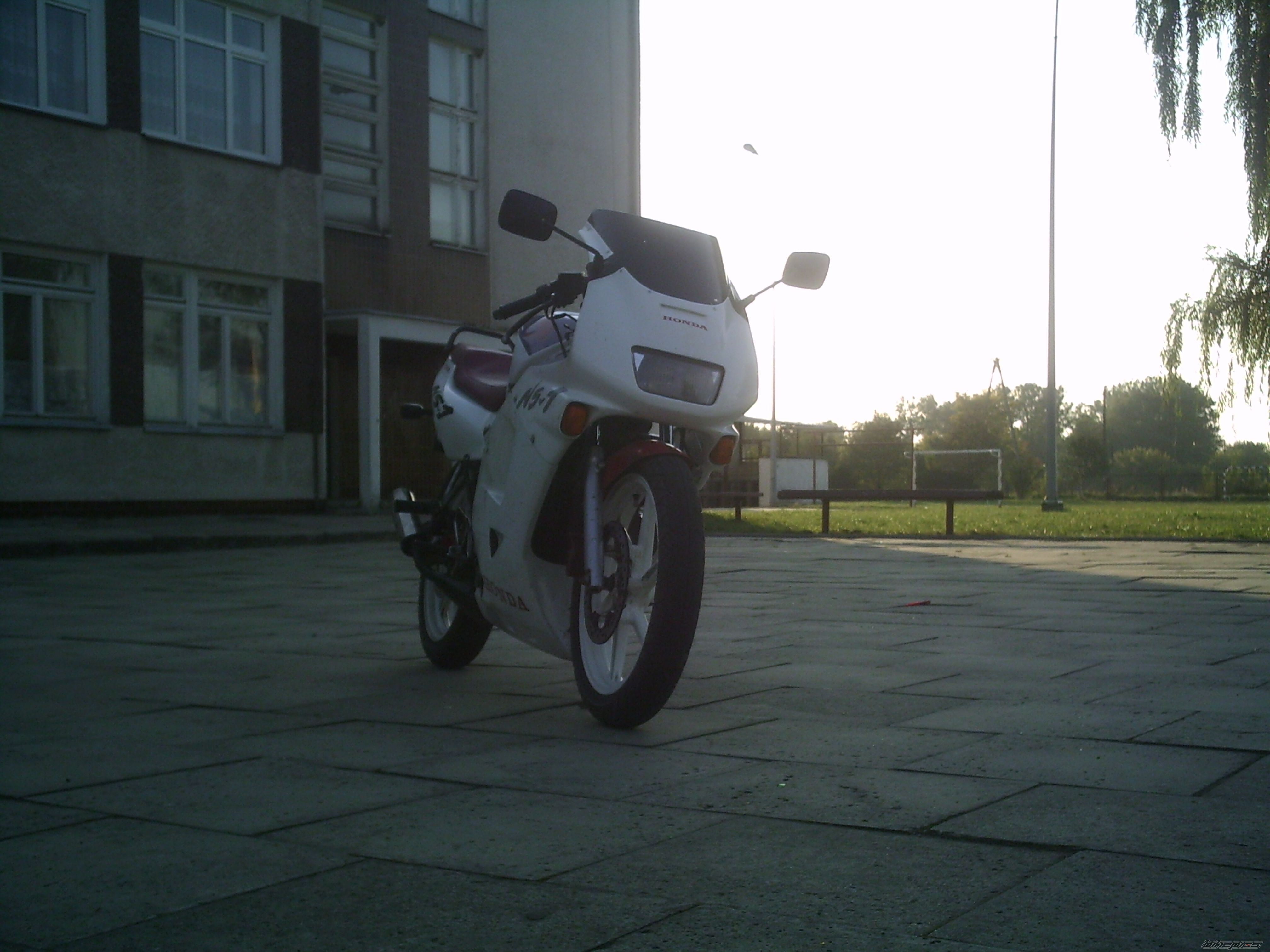 Photo 1036017