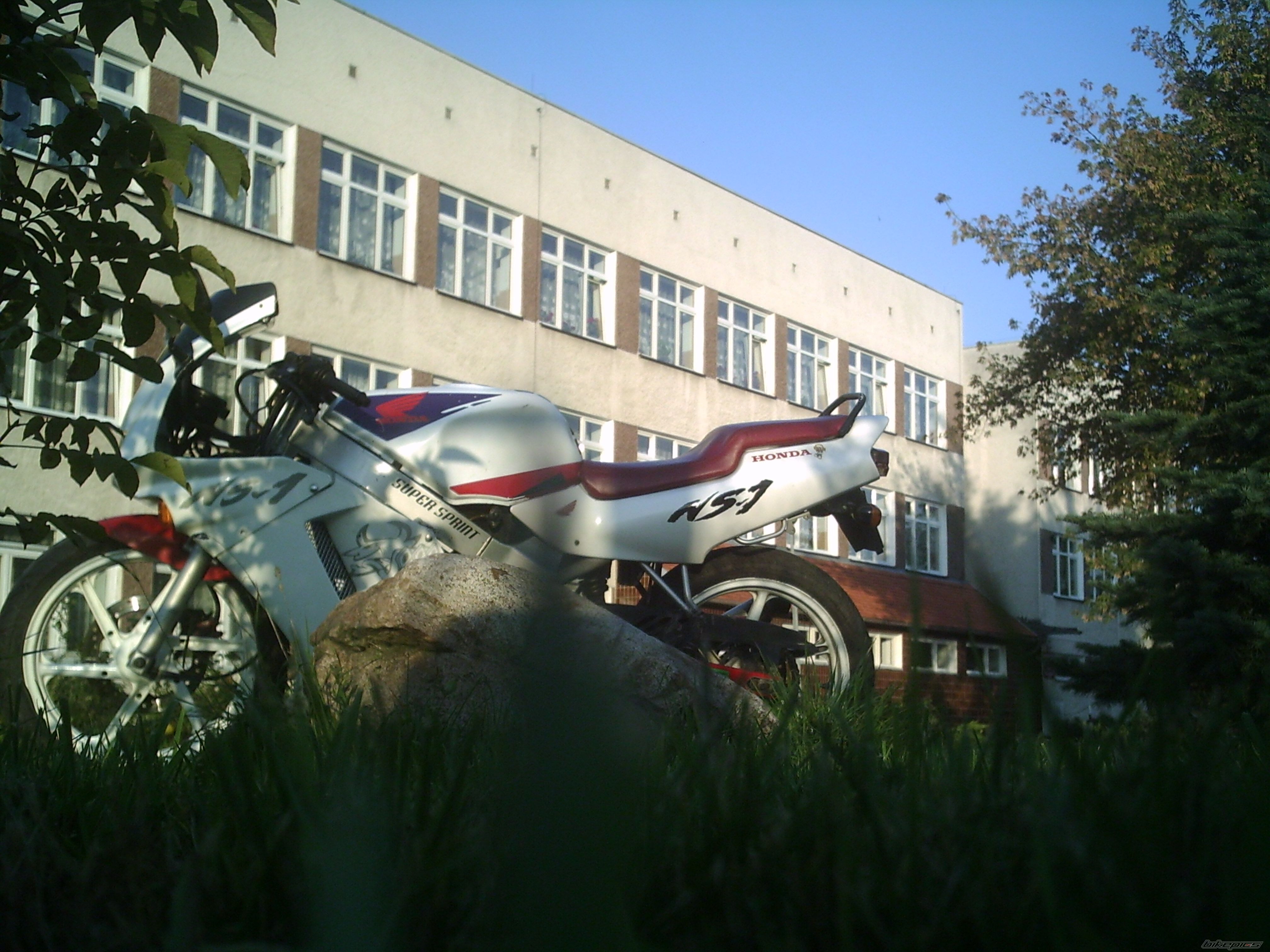 Photo 1036106