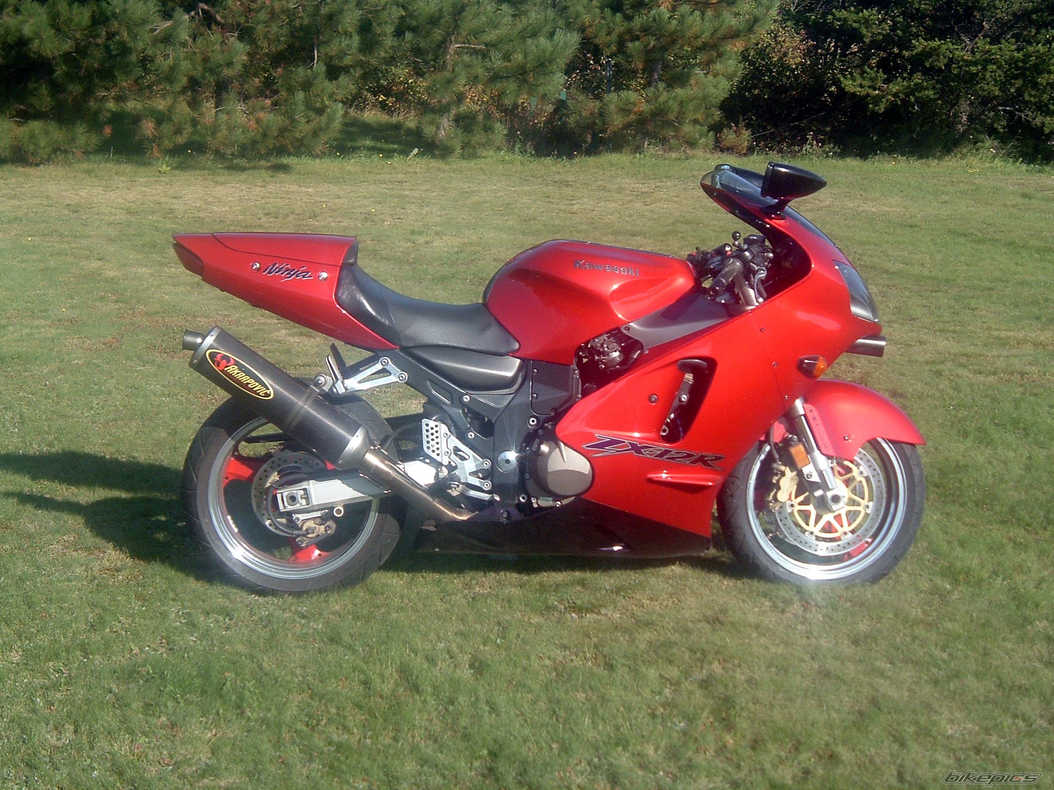 Photo 1036208