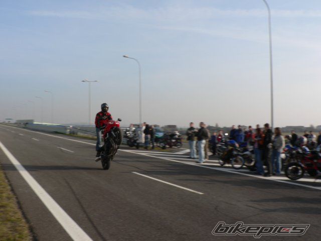 Photo 1036286