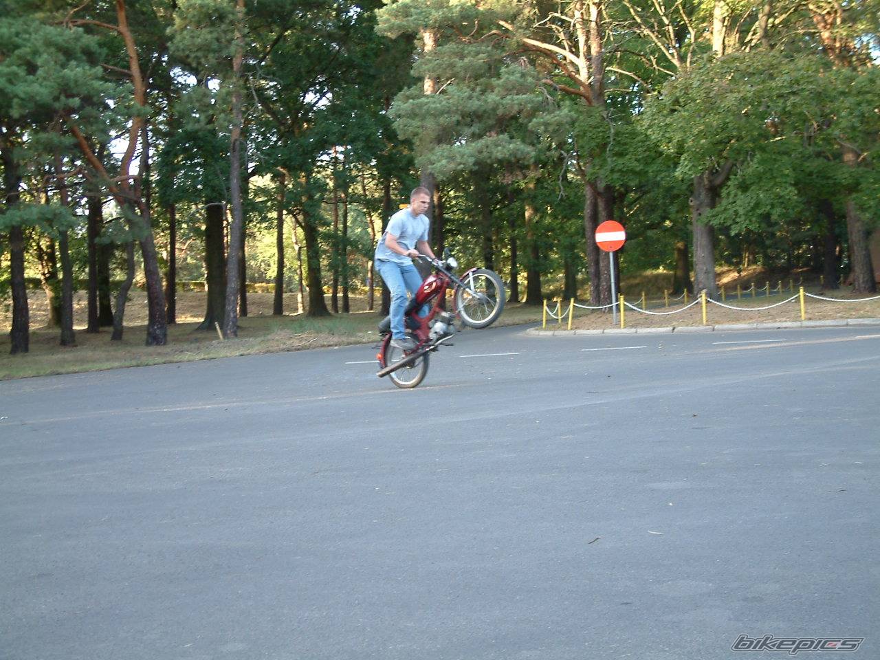 Photo 103631