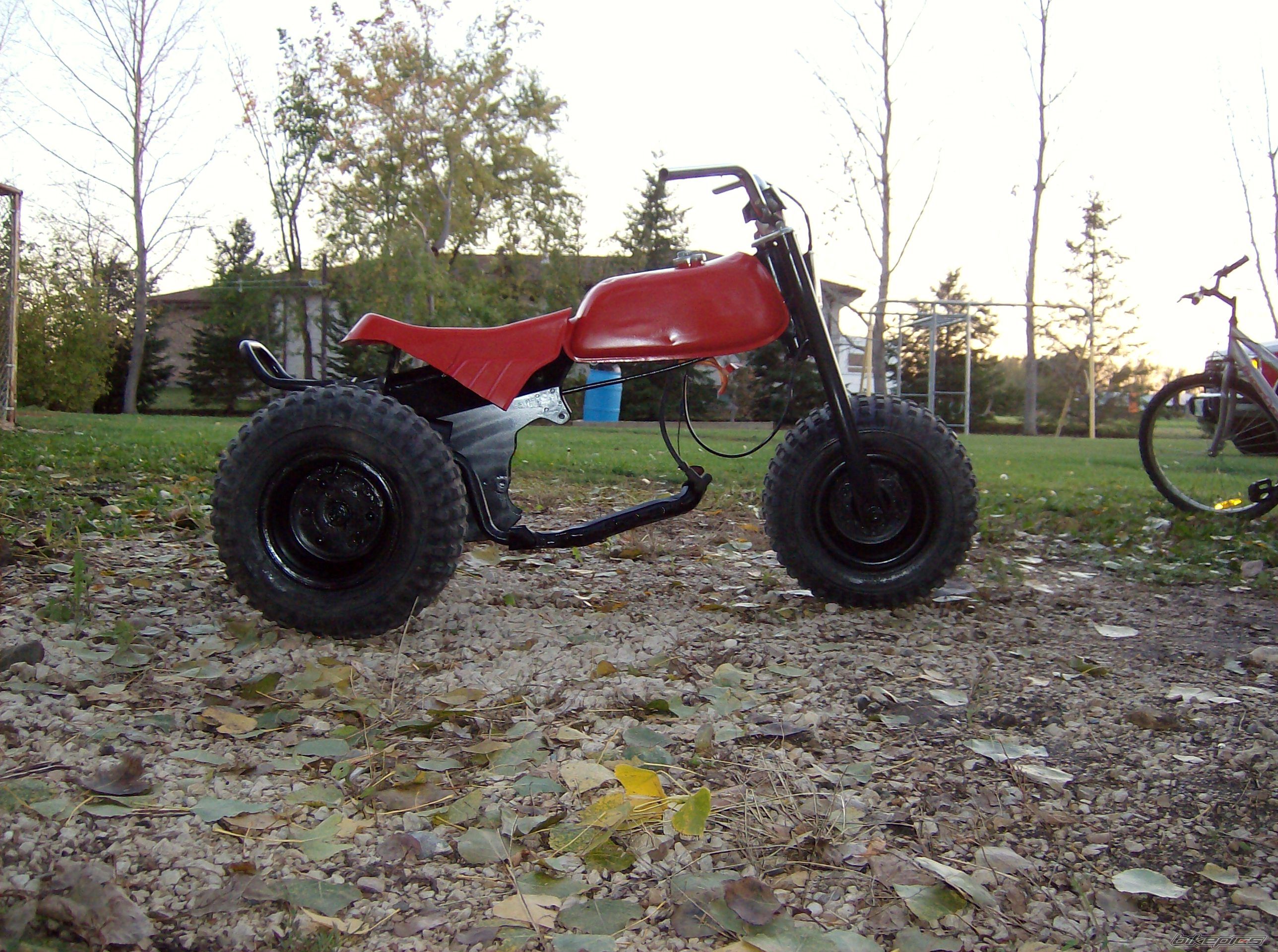 Photo 1036417