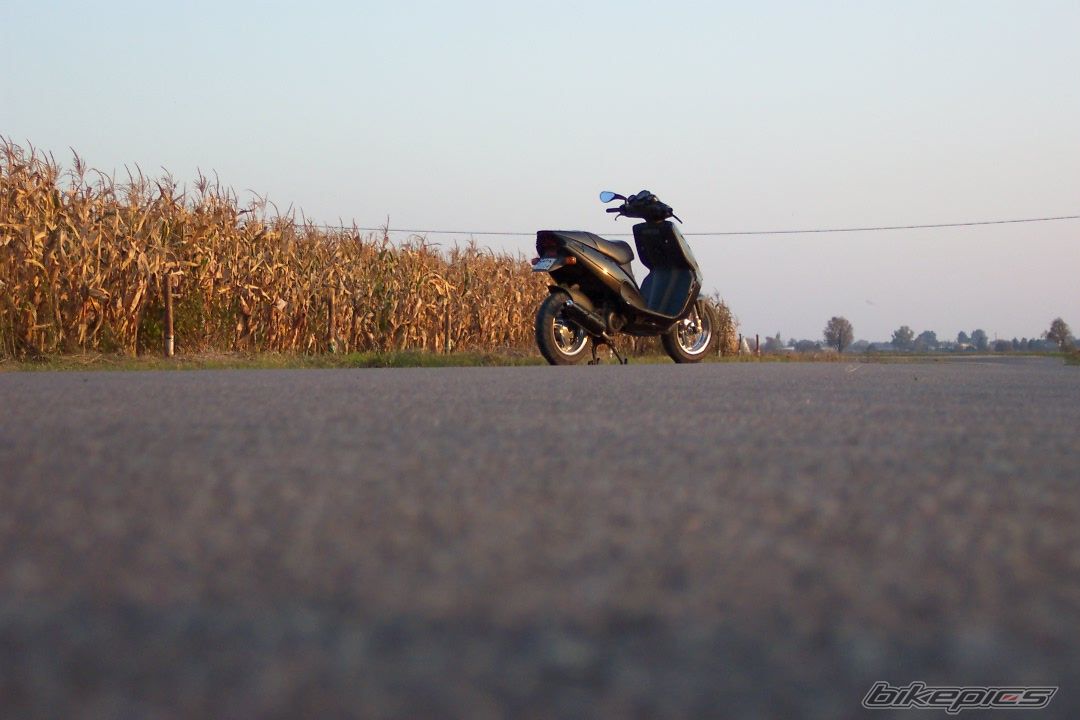Photo 1036520
