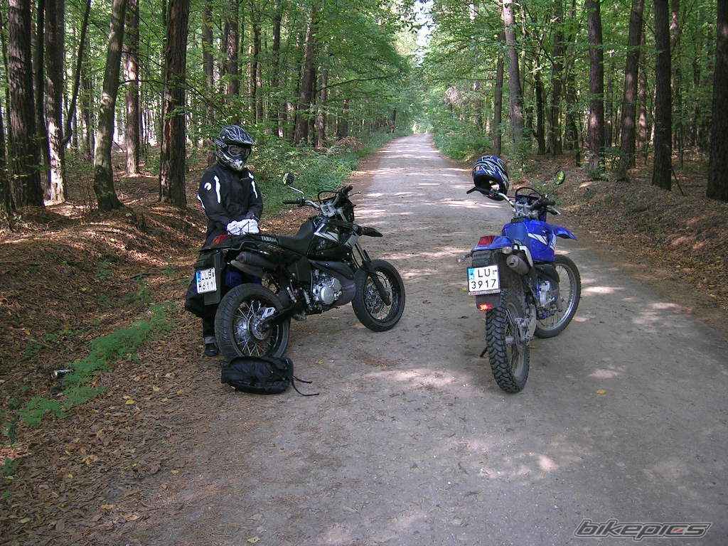 Photo 1036522