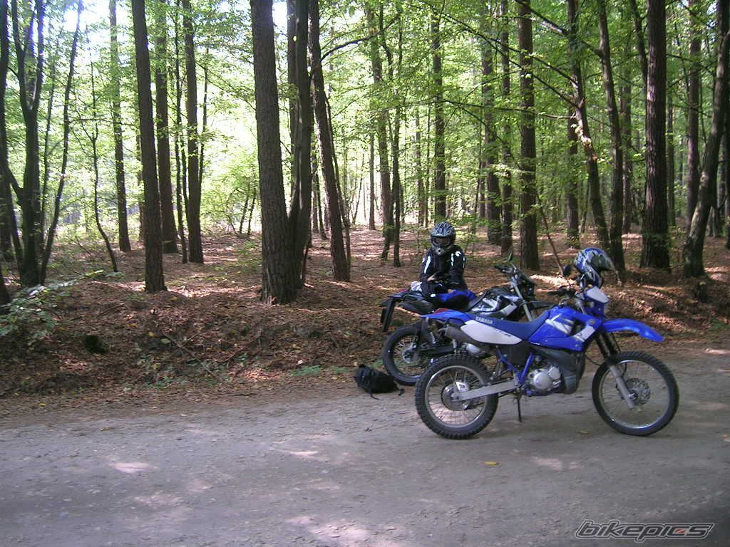 Photo 1036524