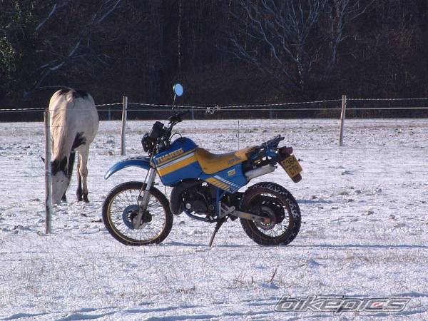 Photo 103662