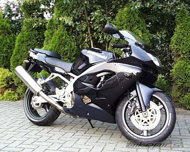 Photo 10367
